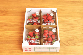 朝どれ！かおりの・紅ほっぺ​・あきひめ・その他【千葉県船橋市のいちご】250g×4パック