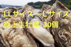 2L〜Lサイズ30個入り　生食用　大サイズ　東北有数生牡蠣の名産地　南三陸産　真牡蠣30個