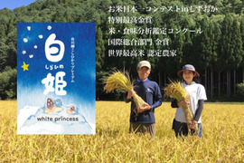 令和7年産 新米予約 世界最高米にも選ばれた⭐︎白姫（コシヒカリ）2㎏（11月発送）
