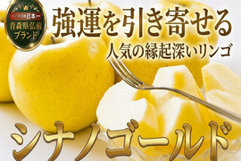 🍎強運を引き寄せるシナノゴールド🍎高糖度×柑橘系の酸味で富裕層も好む贈り物として人気の縁起深い林檎～品種指定キャンペーンお試し特価～【家庭用・贈答用】【4月下旬予約】
