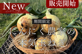 【Big Time Onion】Legendサイズ厳選セット　10kg