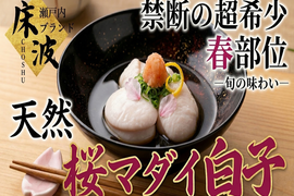 🐟禁断幻の大トロ白子🐟クリームを超えた旨味の宝庫超希少天然国産『桜真鯛大トロ白子』長州床波ブランド数量極少【4月上旬予約】