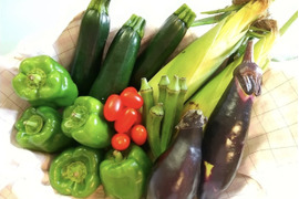 【伏姫さんが焼きコラボ！】野菜セットM×さんが焼きセット！！