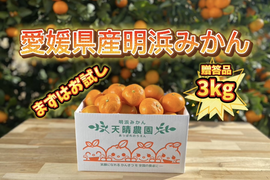 🍊今が旬🍊愛媛県明浜産　温州みかん　ご贈答用　３ｋｇ サイズS～2L