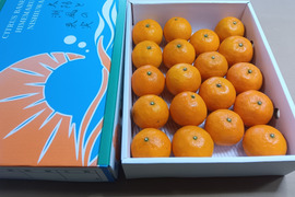 濃厚果汁！南津海（なつみ）優品3Kg