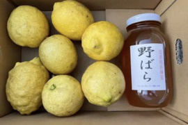 檸檬2キロと野バラ国産純粋蜂蜜1.2