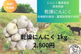 令和7年度　群馬県産　乾燥ニンニク 有機肥料栽培　農薬化学薬品無使用　1kg