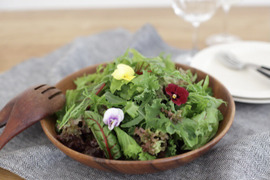 鮮度抜群！9～11種のシャキシャキ野菜のサラダセット（60g×5つ）【栽培期間中農薬不使用】