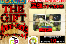 【９周年感謝祭】食べチョク限定商品　至極 ブドウ宝石箱　 COLORS 『THE GIFT Avant-Gagade』カラーズ ザ ギフト アバンギャルド １０種食べ比べ １．１ｋg×１Ｐ