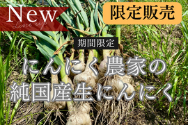 【期間限定】幻の生にんにく　讃岐平戸　1kg