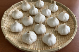 愛知県のにんにくで産地直送の商品｜食べチョク｜産地直送(産直