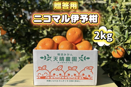 🍊香り推し🍊伊予柑　贈答用 2kg