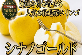 🍎リピート確定シナノゴールド🍎高糖度×柑橘系の酸味で富裕層も好む贈り物として人気の縁起深い高級林檎～品種指定キャンペーン大容量パッケージ～【家庭用・贈答用】【4月下旬予約】