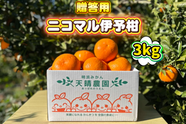 🍊香り推し🍊伊予柑　贈答用 3kg