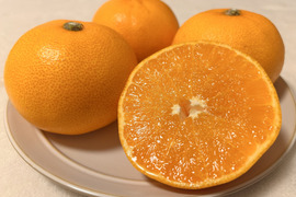 [発送開始！] 愛媛県産 せとか 家庭用 5kg