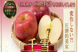 🍎永遠の美白の異名を持つ幻の王女"千雪"🍎あまりに特殊過ぎて国際特許を取得してしまう圧倒的美女～品種指定キャンペーンお得な大容量パッケージ～🍎高級【冬ギフト】【家庭用・贈答用】【11月下旬予約】