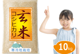 【令和7年 新米予約】特別栽培米 コシヒカリ 10kg 玄米 岡山の雪国産