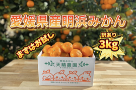 🍊訳あり🍊愛媛県明浜産　温州みかん　３ｋｇ サイズS～2L