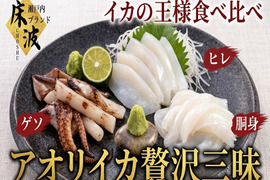 👑頂点を極める三味の真髄👑極上の贅と技が織りなす天然国産『アオリイカ 贅沢三味食べ比べセット』長州床波ブランド一押しの超豪華セット🌊約200g×3種【6月下旬予約】