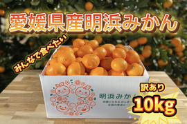 🍊訳あり🍊天晴みかん　　10ｋｇ