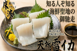 【リピーター続出必至】元料理×漁師の目利きによって完成する逸品🌊天然国産『雷イカ』長州床波ブランお試しキャンペーンお刺身約200g【5月中旬予約】
