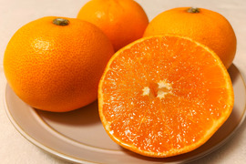 [発送開始！] 愛媛県産 せとか 家庭用 5kg