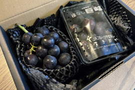 ⭐️食べチョク限定⭐️今年度最終出荷❗山梨 巨峰の町 牧丘町 【一房+粒】【紫黒色の宝石】