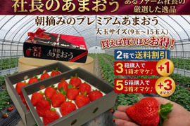 【2箱入・送料割引】超大玉プレミアム あまおう【社長のあまおう】9玉～15玉入 約420g×2箱 苺(イチゴ)の王様 甘王 いちご あるファームより産地直送