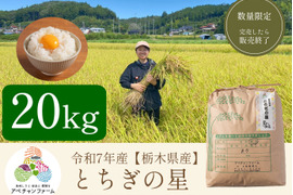 【令和7年新米】とちぎの星(20kg)白米｜令和の大嘗祭献上米品種｜栃木県産米