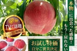 🍑超希少🍑TBSラヴィットで話題沸騰☆"祝"産直受注1万件突破！！あしたの内村!!ニノさんTV出演☆レストラン御用達朝どれもも1kg【おどろきお試し特価キャンペーン】【お中元ギフト】8下旬予約