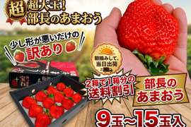 【2箱購入で、送料割引】超大玉訳あり あまおう【部長のあまおう】9玉～15玉入 約420g×2箱 苺(イチゴ)の王様 甘王 いちご あるファームより産地直送