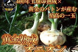 【日テレ出演で話題】黄金の甘さを継ぐ『黄金熟成オニオン』熟成が生む深い甘みのブランド玉ねぎ🧅お試しキャンペーン約1kg