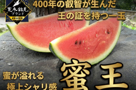 【女性に大人気の蜜シャリ食感】ご褒美時間を彩る至高の果実🍉 極限集中栽培で生まれた唯一無二の寛永鶴見ブランドスイカ🍉『蜜王』【7月中旬予約】