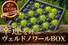 【海外セレブさえも御用達】贈り物に選べば一目置かれる間違いなし！1年で今しか味わえない限定BOX💎敬老の日ギフトに最適！大切な人に贈る古来からの最高の縁起物『ヴェルドノワールBOX』【9月予約】
