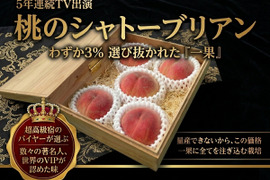 世界の果てまでイッテQ!紹介🍑1000個中1個の幻🍑今話題沸騰中の幻のシャトーブリアン桃🍑1本の樹からわずか3%しか取れない圧倒的糖度幻の桃5個【贈答用箱入り】【朝どれ】🍑6月下旬予約🍑