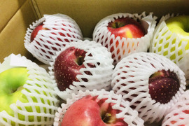 11月9日から！【りんご沼へ🍎🦄】りんご食べ比べ 3キロ箱 6玉〜15玉サイズ 商品ID48414 長野県 信州 安曇野 リンゴ 幻 幻のリンゴ 予約 希少 旬 食べ比べ 詰め合わせ