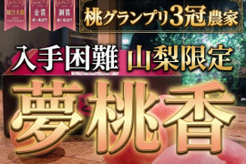 🎊全国桃グランプリ3冠小野桃園ブランド🎊みっちり新食感山梨限定の朝どれ夢桃香🍑一流レストラン御用達1kgお試し特価ももキャンペーン【夏ギフト】【7月上旬予約】