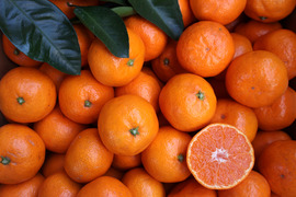 【冬ギフト】農家直送！有田みかん10kg≪Sサイズ 秀品≫【平武農園】～蛍飛ぶ町から旬の便り～　和歌山｜有田｜田口｜ギフト｜こだわり　産地直送　お取り寄せ