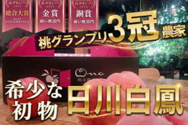 🎊全国桃グランプリ3冠小野桃園ブランド🎊毎年争奪戦となる日川白鳳シーズン初物で希少価値が高騰し続けるジューシースプラッシュ☆一流レストラン御用達1kgお試し特価ももキャンペーン【朝どれ】6月下旬予約