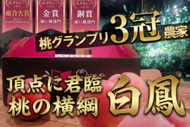 🎊全国桃グランプリ3冠小野桃園ブランド🎊桃の横綱の異名を持つ白鳳🍑ジューシー上品な一面も覗かせる一流レストラン御用達1kgお試し特価ももキャンペーン🍑【2026年予約】グランプリ受賞の実力糖度🍑