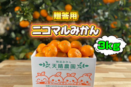 🍊家庭用🍊愛媛県明浜産　温州みかん     3kg