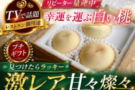 🎊全国桃グランプリ3冠小野桃園ブランド🎊見つけたら超ラッキー甘甘燦々🍑一流レストラン御用達約1キロお試しキャンペーン【朝どれ】【夏ギフト】8月下旬予約