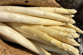 香川県産ホワイトアスパラ　2L〜4Lサイズ1キロ「さぬきのめざめ」