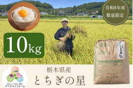 【令和8年産米】とちぎの星(10kg)白米｜令和の大嘗祭献上米品種｜栃木県産