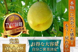 🍑見つけたらラッキー🍑市場に出回らない黄金桃大容量パッケージ約2㎏【敬老の日ギフト】自分ご褒美に確かな糖度レストラン御用達の黄金モモ【先着300名限定予約】【朝どれ】【9月予約】