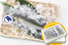 【まとめ買いで送料お得！】紀州仕立て鮎『凍眠』※急速冷凍（大サイズ　１０尾入り）　２箱セット