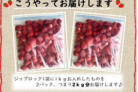 冷凍いちご２Kg 【完熟とちおとめ】いちごの里よしみ🍓