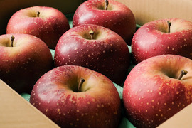 2025年度予約始めます🙇このりんご絶対食べて欲しい‼️甘くて芳醇な香り🍎千雪りんご6キロ