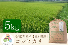 【令和7年米】コシヒカリ(5kg)白米｜栃木県産米｜上品な甘みともっちり食感、冷めても美味しい