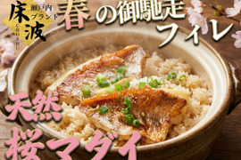 【食卓に品格を添える贅沢量】日常が少し特別になる旬の味🐟天然国産『桜真鯛フィレ』長州床波ブランド上質仕立て約700g【4月上中旬予約】